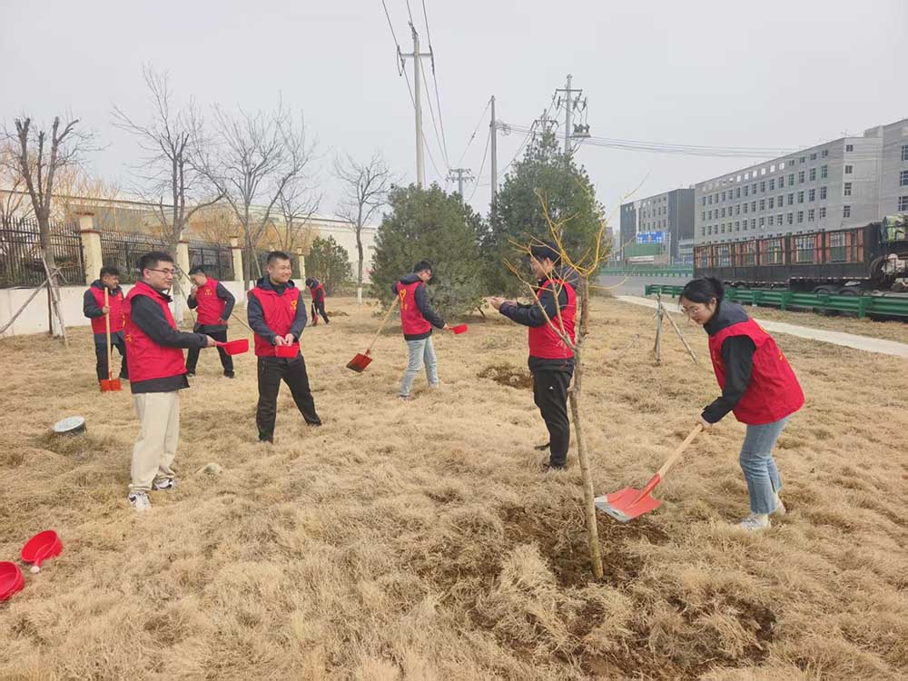 zhishua.jpg zhishua.jpg